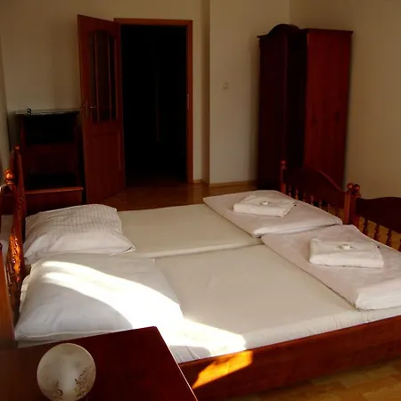 Aviatik Guest house Caslav
