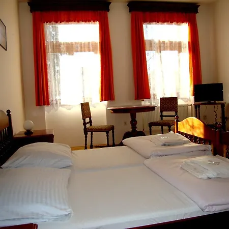 Guest house Aviatik Caslav