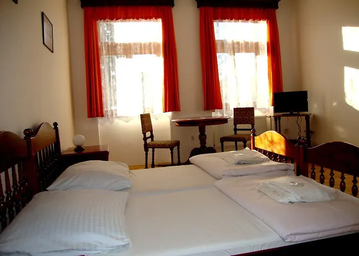 Maison d'hôtes Aviatik Čáslav